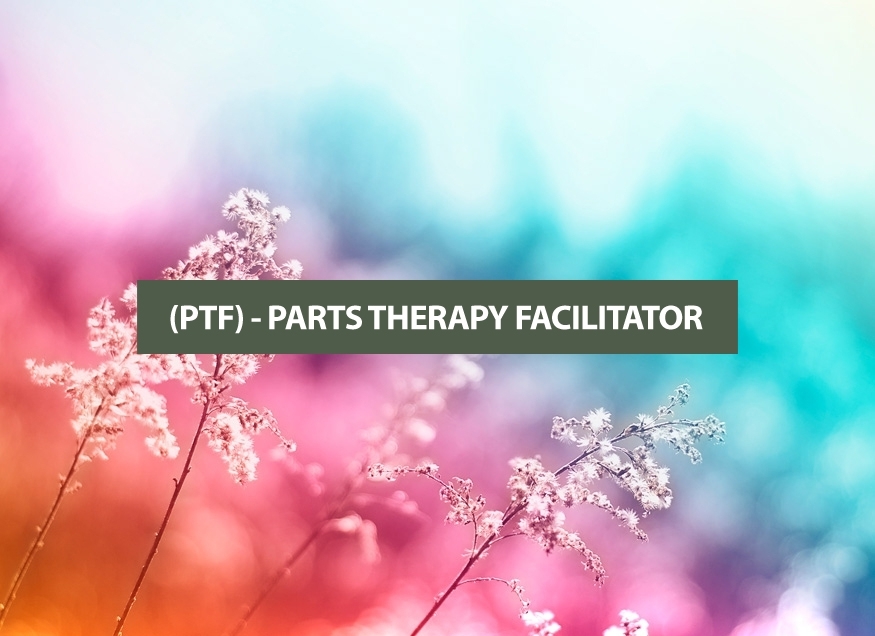 (PTF) PARTS THERAPY